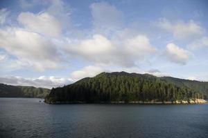 traghetto vista picton nuova zelanda foto