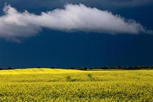 nuvole di tempesta della prateria foto