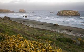 tramonto bandon oregon foto