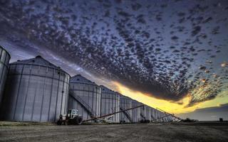 elevatore del grano saskatchewan foto