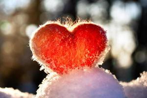 cuore in feltro di lana rossa si erge sulla neve e retroilluminato dal tramonto del sole invernale foto