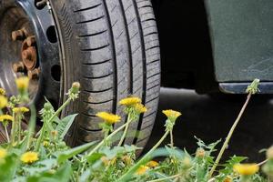 ruota di automobile in piedi sull'erba verde con denti di leone gialli. adatto per servizio pneumatici e viaggi. foto