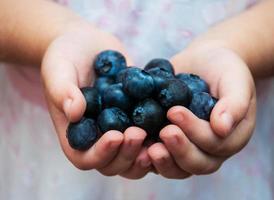 le mani dei bambini con i mirtilli foto