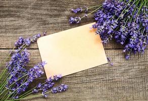 mazzo di lavanda foto