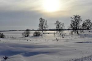 paesaggio innevato in un campo in inverno foto