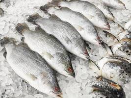pesce di branzino fresco in vendita nel ristorante di pesce del mercato, pesce di branzino crudo su ghiaccio foto