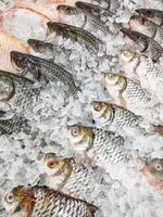 pesce fresco d'argento in vendita nel ristorante di pesce del mercato, pesce crudo di carpa su ghiaccio foto