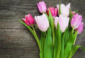 fiori di tulipano primaverili foto