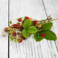 mazzetto di fragoline di bosco foto