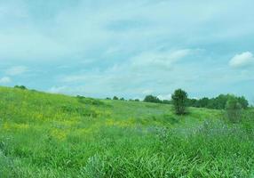 prato estivo. l'erba è verde, il cielo è nuvole. vista paese. foto