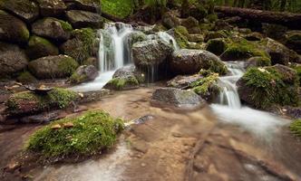 piccola cascata sul fiume. paesaggio forestale. foto