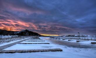 cipressi colline alberta foto