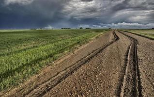 tracce di pneumatici nel fango foto