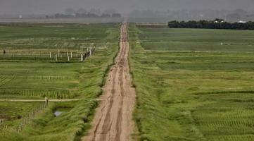 tempesta estiva e strada sterrata foto