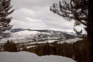 parco di yellowstone wyoming neve invernale foto