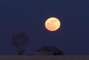 scatto notturno saskatchewan canada foto