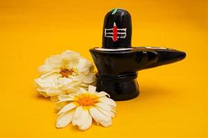 shiva linga decorato con fiori su sfondo giallo. foto