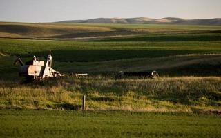 scena della prateria saskatchewan foto