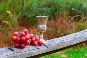 uva da vino bicchiere di feste ebraiche foto