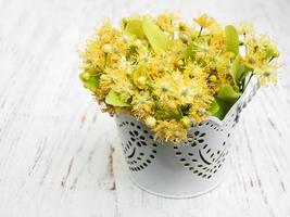 fiori di tiglio sul tavolo foto