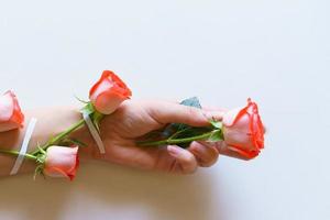 mani di moda femminile di cosmetici naturali, rose rosse, bellissimi fiori foto