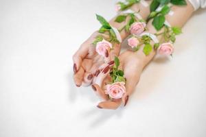 belle rose rosa su delicate mani femminili su sfondo bianco concetto di cura della pelle delle mani foto
