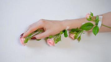 bella mano femminile sottile si trova con fiori di rosa su sfondo bianco foto