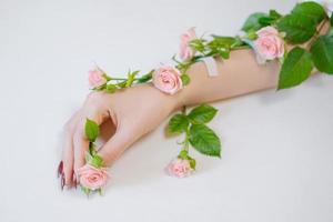 bella mano femminile sottile si trova con fiori di rosa su sfondo bianco. foto