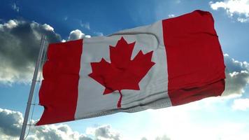 la bandiera nazionale del Canada, conosciuta anche come la foglia d'acero che svolazza nel vento. rendering 3D foto