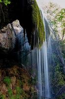 che crea cascata con muschio foto