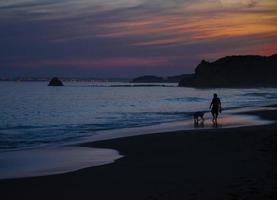 portogallo, algarve, le migliori spiagge di portimao, praia da rocha, lilla dorato tramonto sulle onde dell'oceano atlantico foto