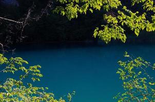 lago con acque turchesi limpide, parco nazionale dei laghi di Plitvice, croazia foto