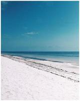 bella giornata diani beach, kenya foto