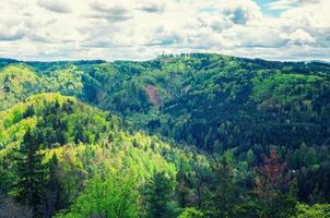 Vista panoramica aerea della foresta di slavkov con colline e alberi verdi vicino alla città di Carlsbad, Karlovy Vari foto