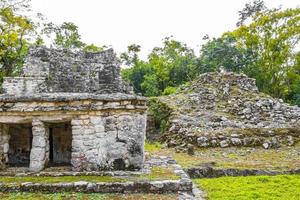 antico sito maya con rovine di templi piramidi manufatti muyil messico. foto