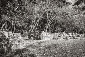 antico sito maya con rovine di templi piramidi manufatti muyil messico. foto