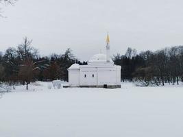 giornata invernale negli alberi di neve del parco di Caterina foto