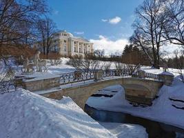 inverno nel parco pavlovsky neve bianca e alberi freddi foto