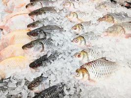 pesce fresco d'argento in vendita nel ristorante di pesce del mercato, pesce crudo di carpa su ghiaccio foto