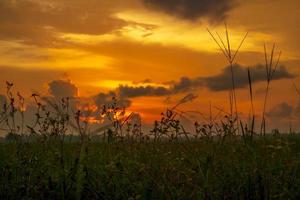 cielo serale dorato. paesaggio al tramonto foto