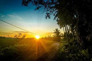 tramonto rurale in indonesia con alberi, sentiero e luce solare foto