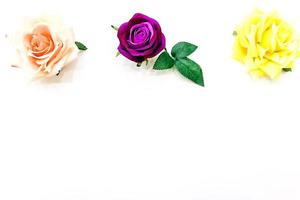 giallo in rose viola su sfondo bianco foto