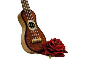 chitarra acustica e fiore di rosa rossa, isolato su bianco foto