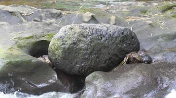 grande roccia in riva al fiume foto