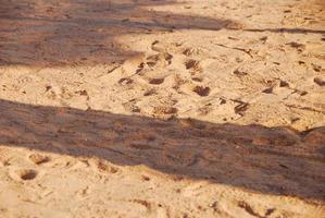 soffice e calda spiaggia di sabbia in riva al mare e in estate foto