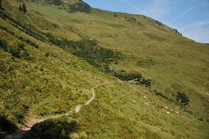 stretto sentiero sulla montagna foto