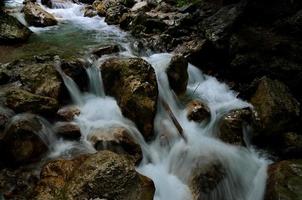 ruscello di acqua selvaggia foto