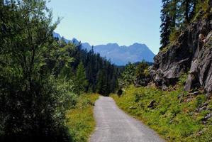 percorso in montagna foto