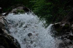 acqua selvaggia della cascata foto