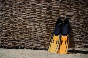 pinne sulla spiaggia foto